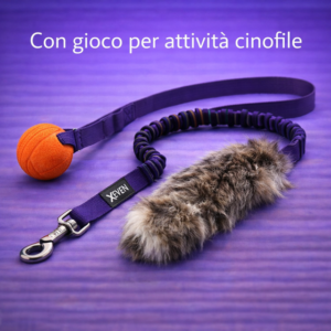 Con gioco - per attività cinofile