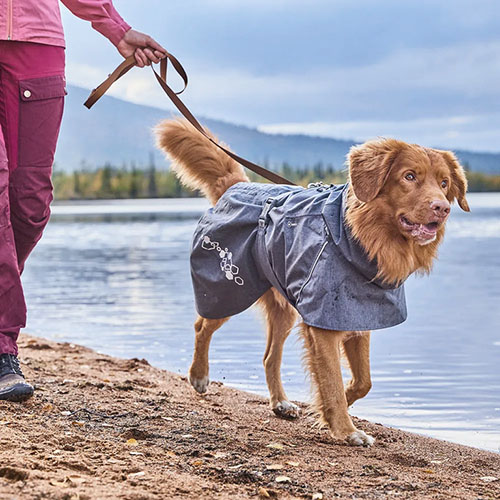 GUINZAGLIO WEEKEND WARRIOR 180 cm RUBY - Hurtta - immagine 2