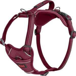 Pettorina Anatomy Harness Magenta - Halti