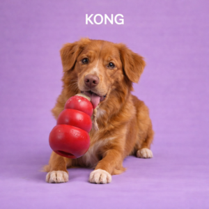 Kong