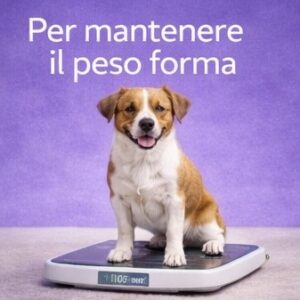 Per mantenere il peso forma o dimagrire
