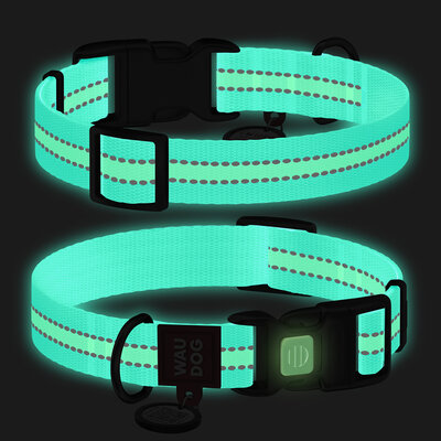 Collare per cani in nylon fosforescente/riflettente, chiusura in plastica Azzurro - WAUDOG - immagine 4