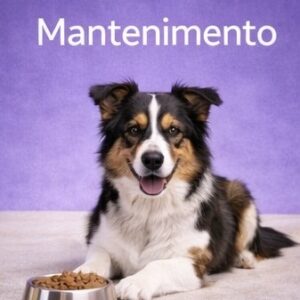 Mantenimento