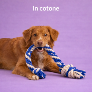 In cotone