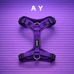 A Y