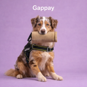 Gappay