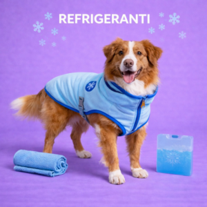 Refrigeranti