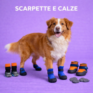 Scarpette e calze