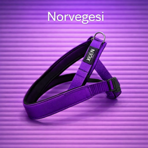 Norvegesi