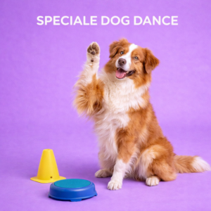 Speciale Dog Dance