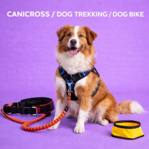 Canicross - Trekking - Dog Bike