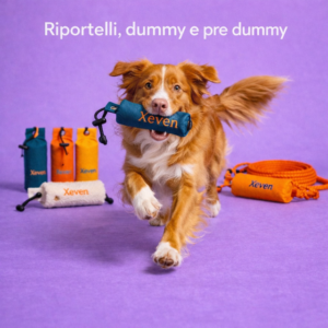 Riportelli, dummy e pre dummy