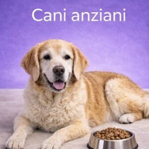 Cani anziani