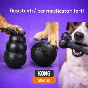 Resistenti / per masticatori forti