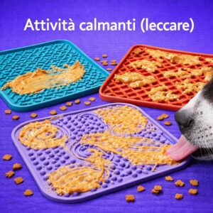 Attività calmanti (leccare)