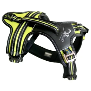 PettorinaPettorina 4 Season Fit - AXAECO