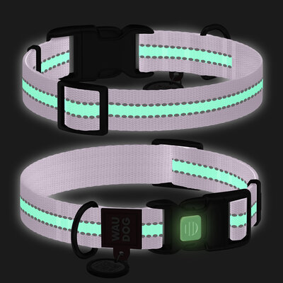 Collare per cani in nylon fosforescente/riflettente, chiusura in plastica Lilla - WAUDOG - immagine 2