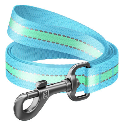 Guinzaglio per cani in nylon, fosforescente/riflettente 122 cm Azzurro - WAUDOG