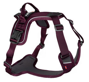 Pettorina RAMBLE HARNESS Viola - Non-stop dogwear