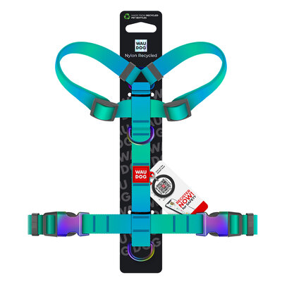 Pettorina ad H regolabile in nylon riciclato con QR passport "Gradient Azzurro"- WAUDOG - immagine 2