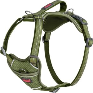 Pettorina Anatomy Harness Verde - Halti