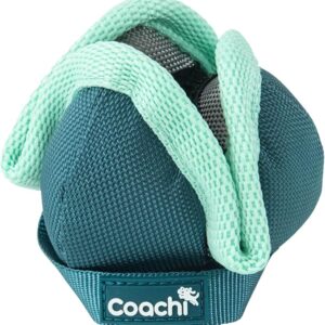 Gioco Chase & Treat Puppy&Mini - Coachi