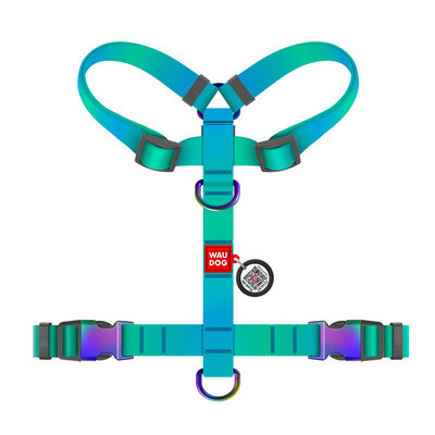 Pettorina ad H regolabile in nylon riciclato con QR passport "Gradient Azzurro"- WAUDOG - immagine 3