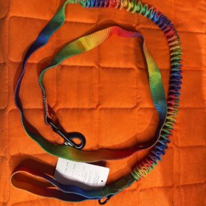 Guinzaglio con ammortizzatore arcobaleno 170 cm - DOG'S CRAFT