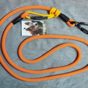 Guinzaglio allungabile 180 cm Sorbetti Orange - BLUEHEELER