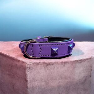 Collare Ecopelle Morbida Softie Kairo Viola/Nero con Borchie - Hunter