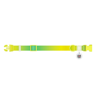 Collare regolabile in nylon riciclato con QR passport "Verde sfumato"- WAUDOG - immagine 3