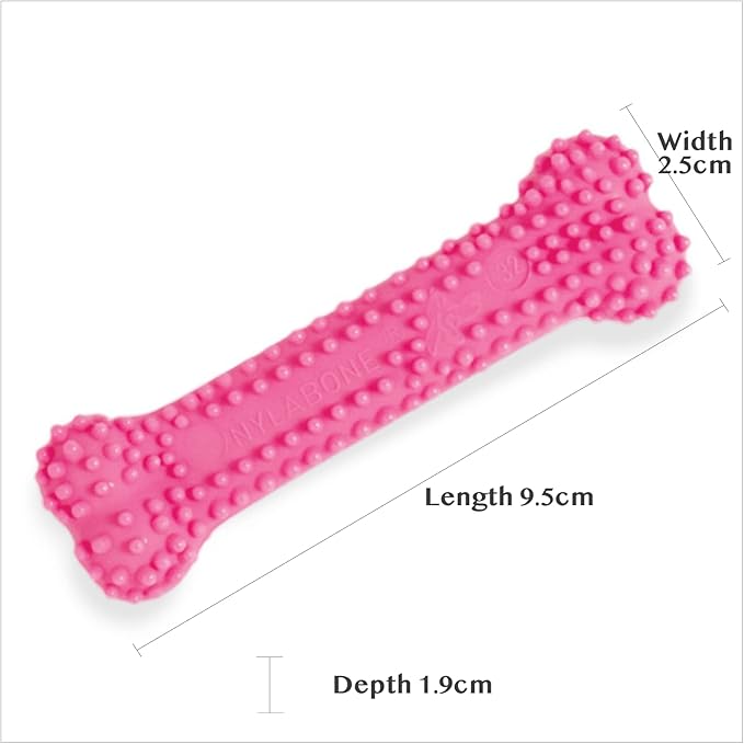 Masticativo sintetico per Cuccioli Puppy Teething Chew XS al Gusto Pollo - Nylabone - immagine 5