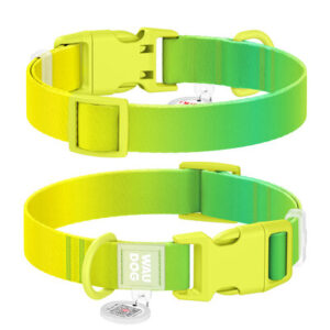 Collare regolabile in nylon riciclato con QR passport "Verde sfumato"- WAUDOG