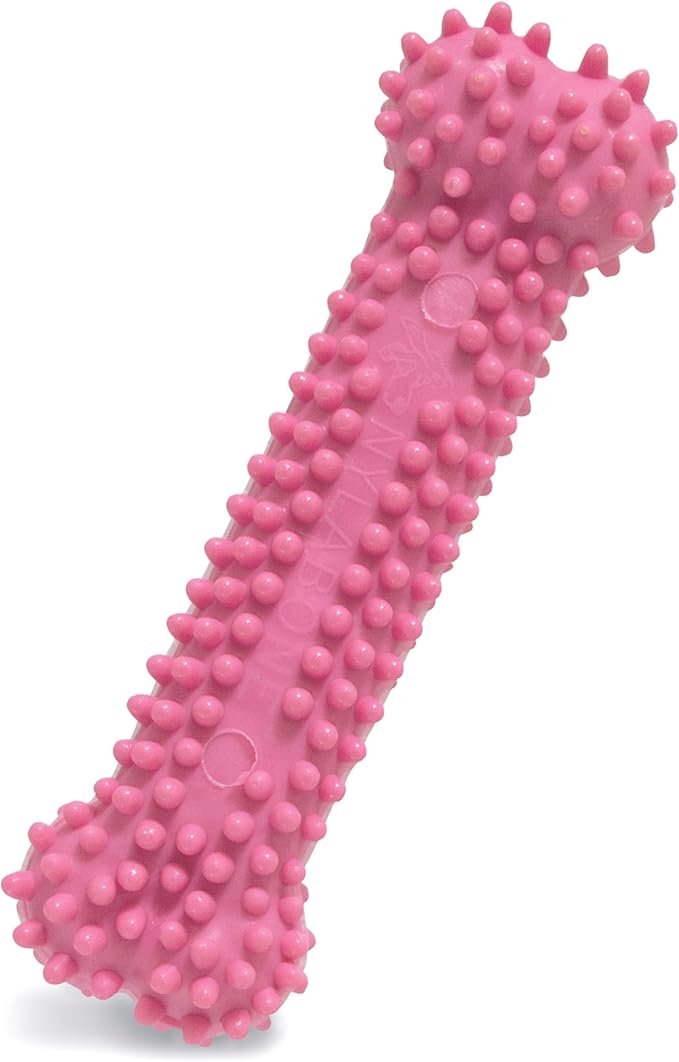 Masticativo sintetico per Cuccioli Puppy Teething Chew XS al Gusto Pollo - Nylabone - immagine 4