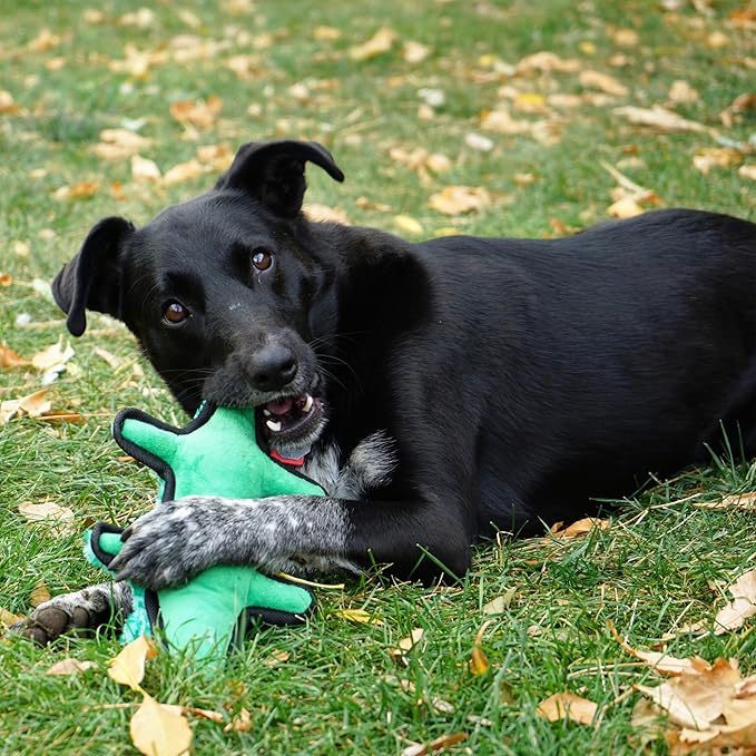 Gioco resistente con squeaker e sonaglio Ballistic Alligator - KONG - immagine 4