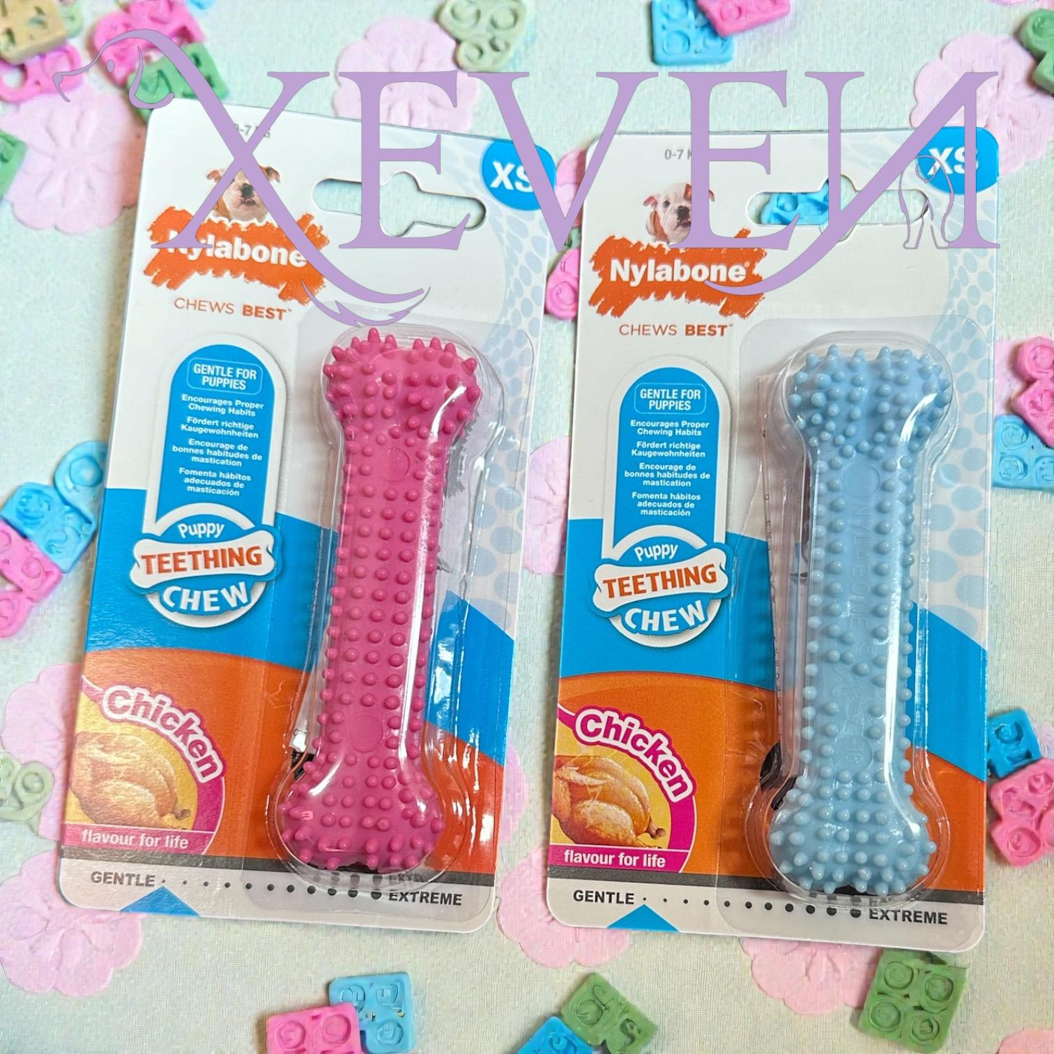 Masticativo sintetico per Cuccioli Puppy Teething Chew XS al Gusto Pollo - Nylabone