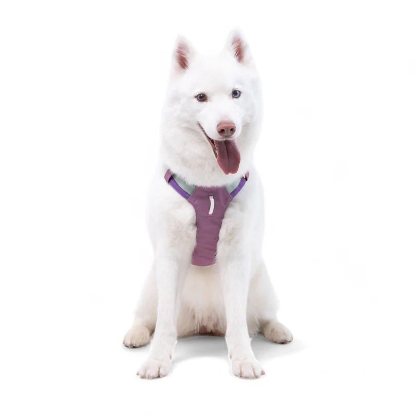 Pettorina ergonomica Alpha 360 Mauve Mix - WOOLLY WOLF - immagine 3