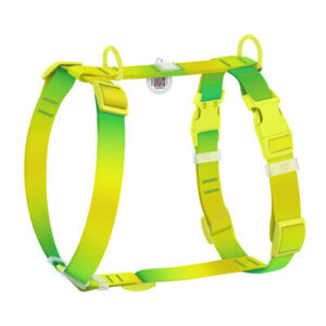 Pettorina ad H regolabile in nylon riciclato con QR passport "Sfumato verde"- WAUDOG