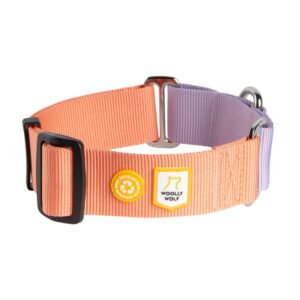 Collare Martingala regolabile Color Block Rosa Salmone & Lilla - WOOLLY WOLF