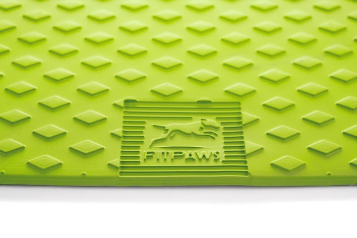 Balance Ramp Verde - FitPAWS® - immagine 5