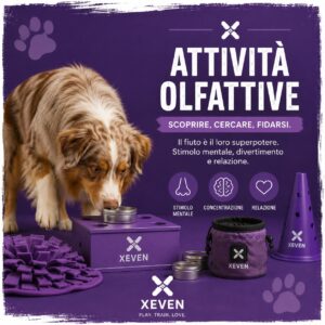 Attività olfattive