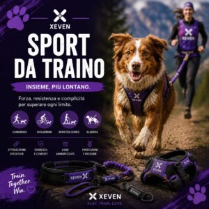 Sport da traino