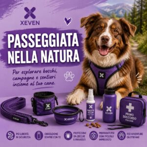 Passeggiata nella natura