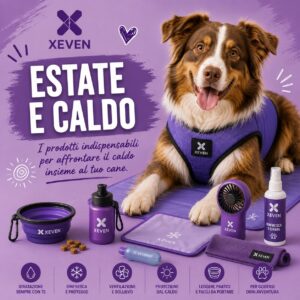 Estate e Caldo