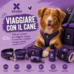 Viaggiare con il cane