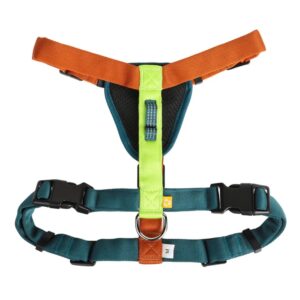 Pettorina Regolabile e Realizzata con Materiali Riciclati Color Block Lime Mix - WOOLLY WOLF