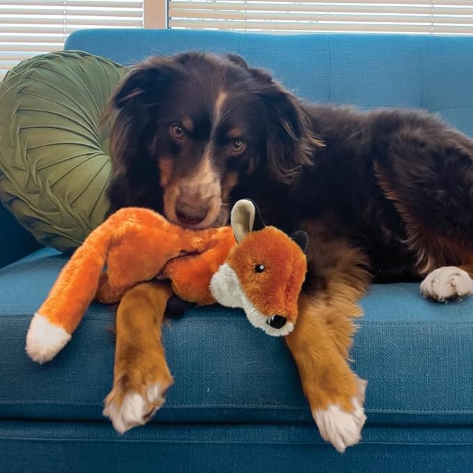 Gioco in Peluche Volpe con Squeaker Wild Low Stuff Fox - KONG - immagine 2