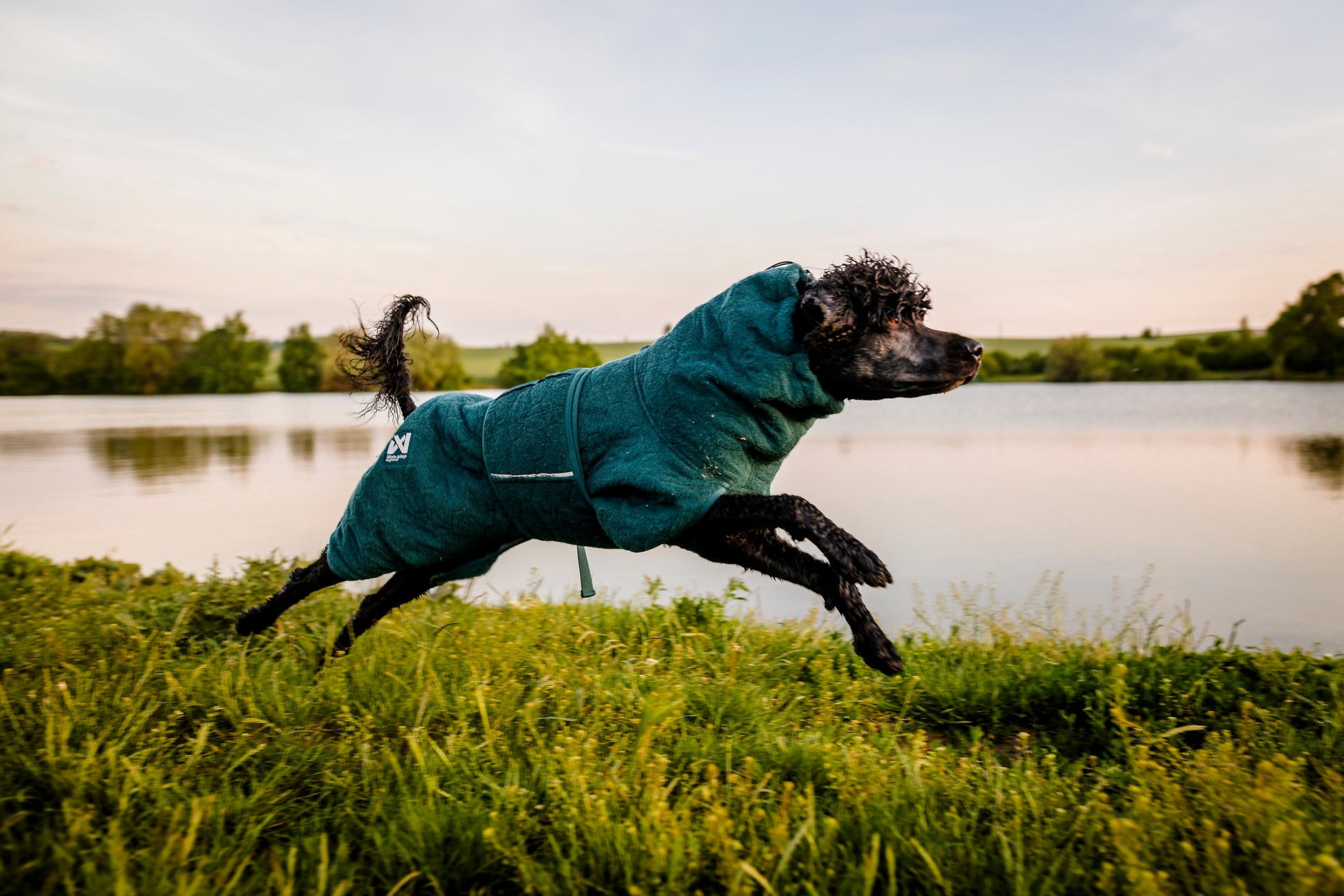 Accappatoio Drying coat Dark Teal - Non-stop dogwear - immagine 4