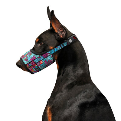 Museruola per cani WAUDOG in nylon, design "Summer" - WAUDOG - immagine 5