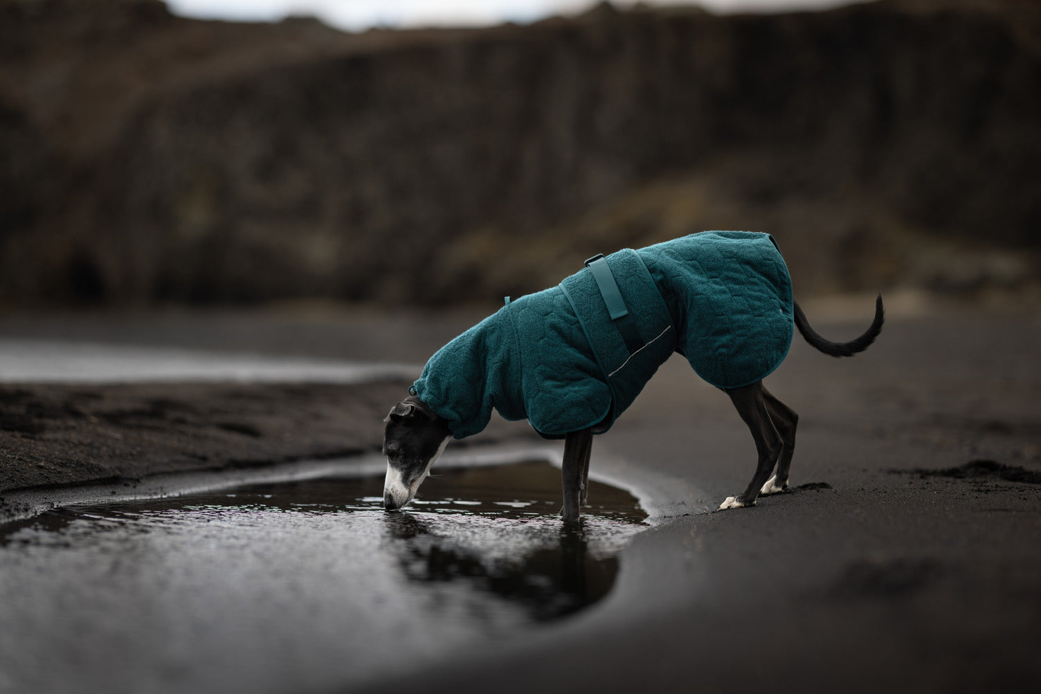 Accappatoio Drying coat Dark Teal - Non-stop dogwear - immagine 7